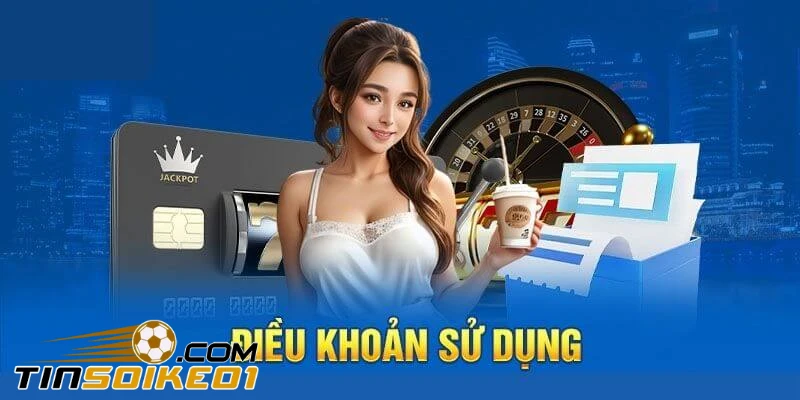 Điều khoản sử dụng của aggua.io